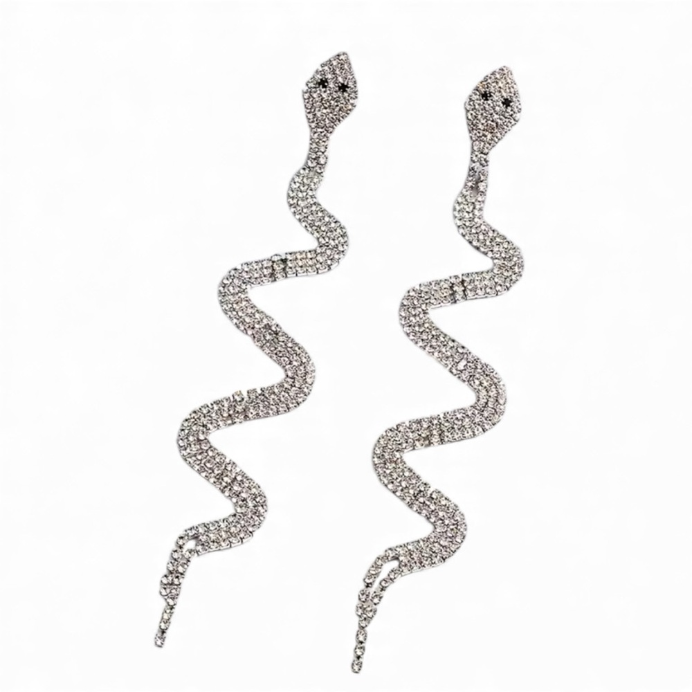 Closet Clear Out Sale! Silver Snake 🐍 Duster Earrings